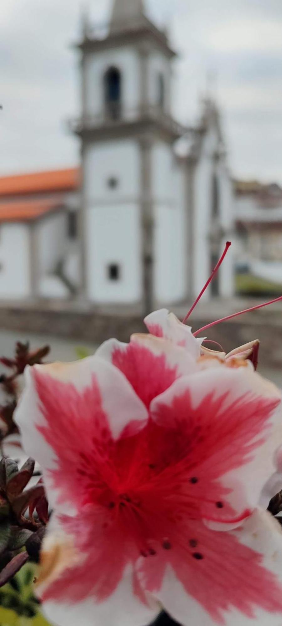 Donna Nega Alojamento Local Caminha Ngoại thất bức ảnh